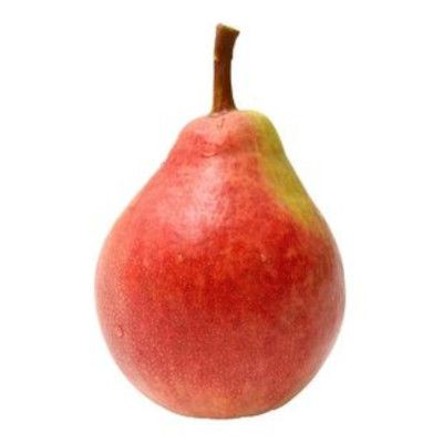 Bartlett Pear