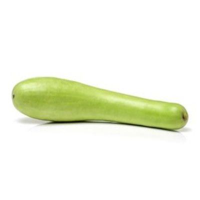 Italian Squash