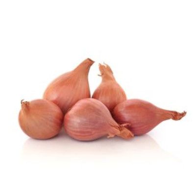Shallot