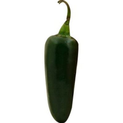 Jalapeno Pepper