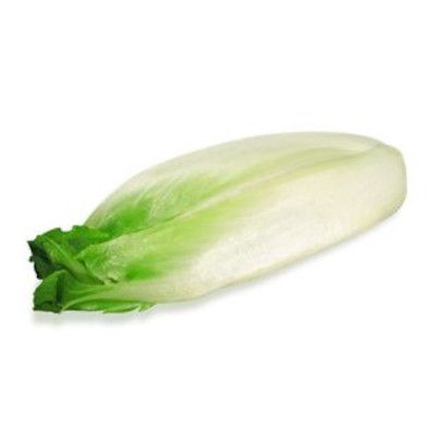 Belgian Endive