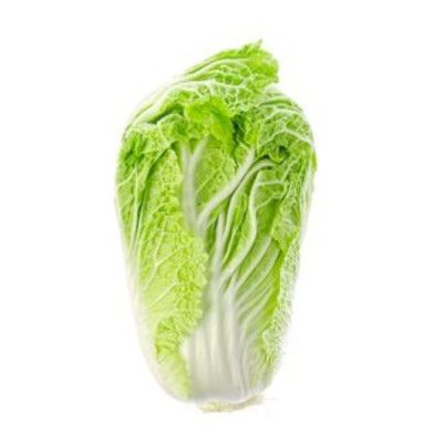 Napa Lettuce (Napa Cabbage)