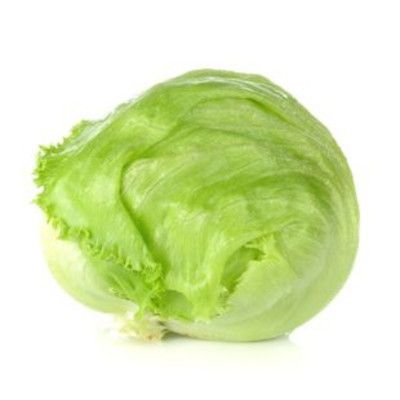 Iceberg Lettuce