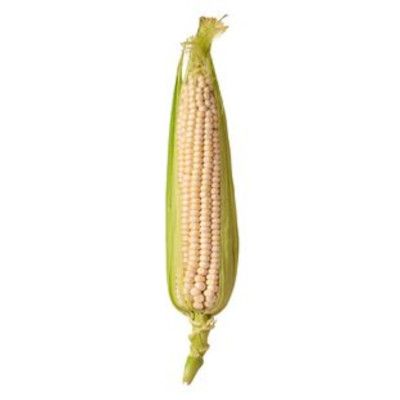 White Sweet Corn