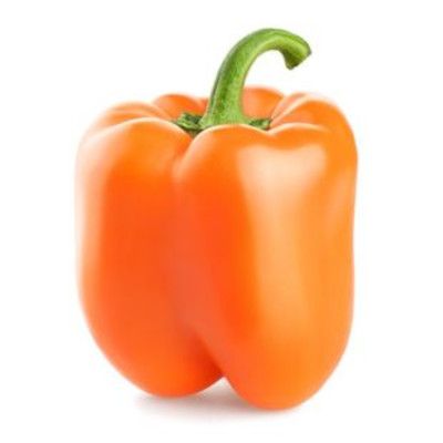 Orange Bell Pepper