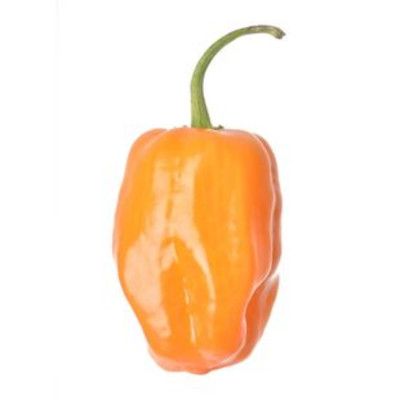 Habanero Peppers