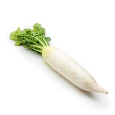 Daikon Radish (Japanese Radish)