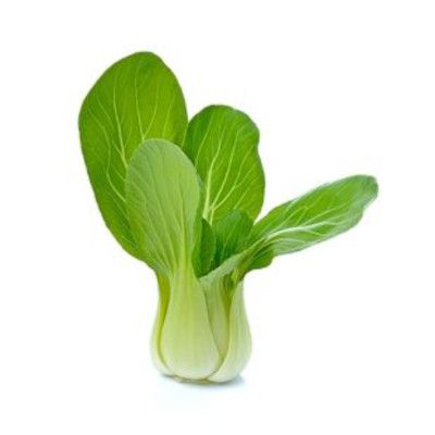 Baby Bok Choy Cabbage