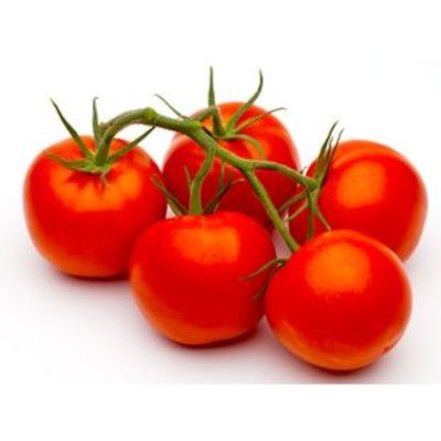 Tomatoes on the Vine